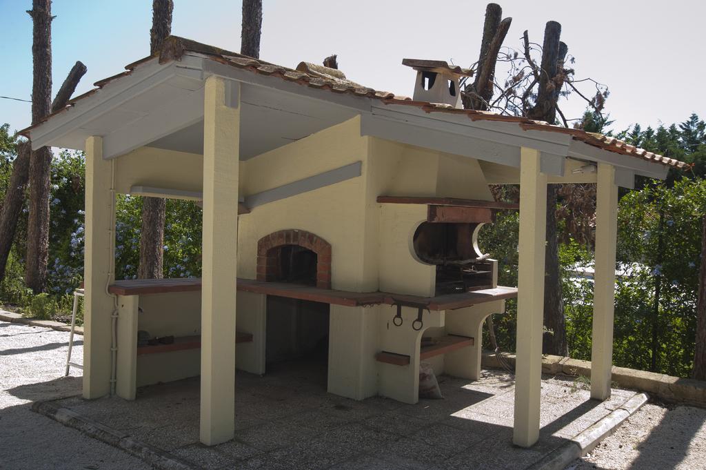 Domus In Viridi Roma